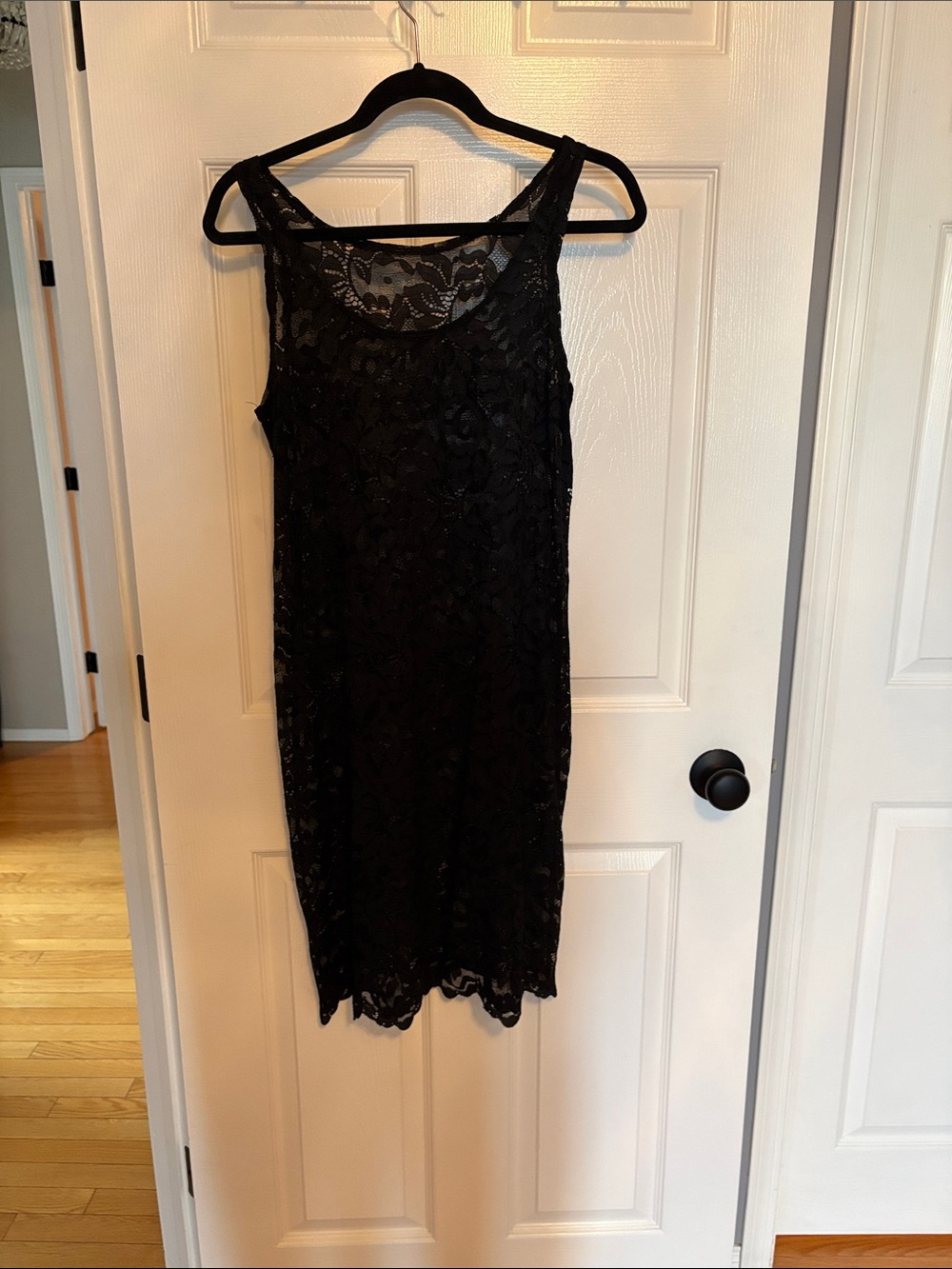 Sympli Sheer Black Lace Sheer Sheath Dress